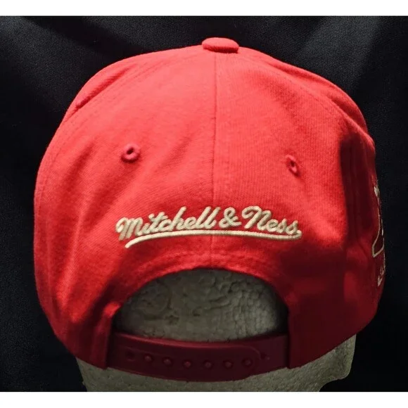 Chicago Bulls Mitchell & Ness Chrome Elements 40th Anniversary Snapback Hat NWT!